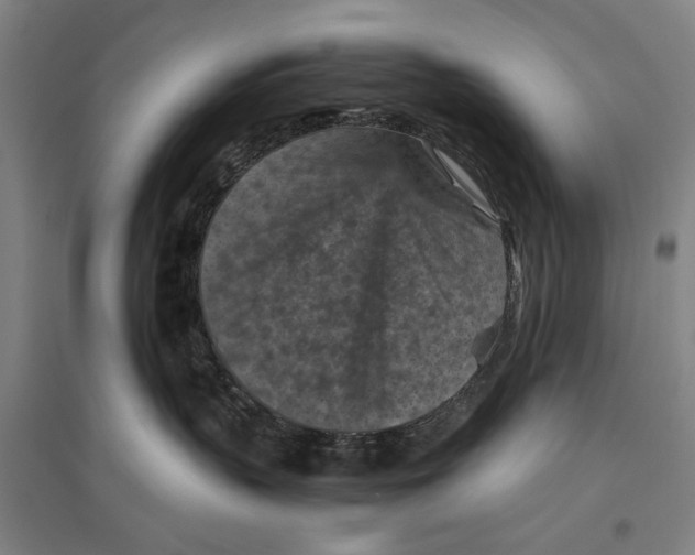 X0000096640383200803041132