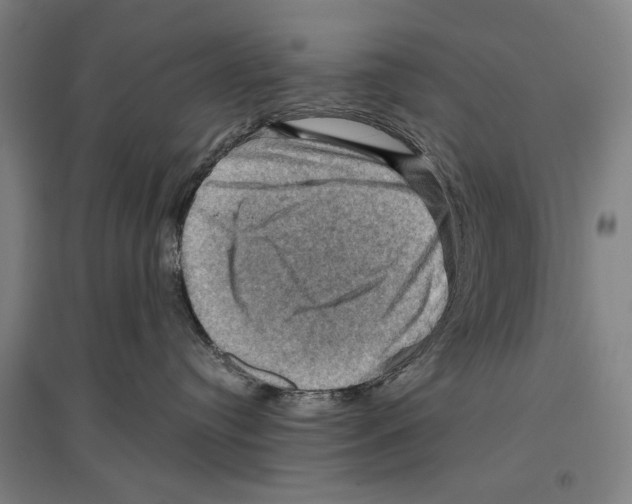 X0000096640384200803041132