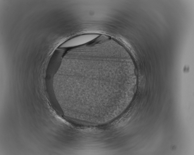 X0000096640385200803041131