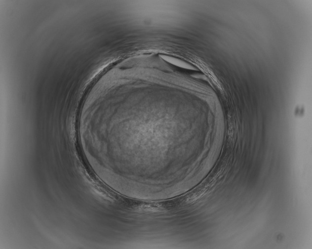 X0000096640386200803041131