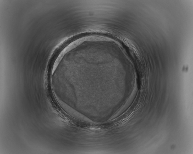 X0000096640388200803041131