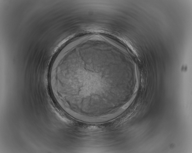 X0000096640390200803041131