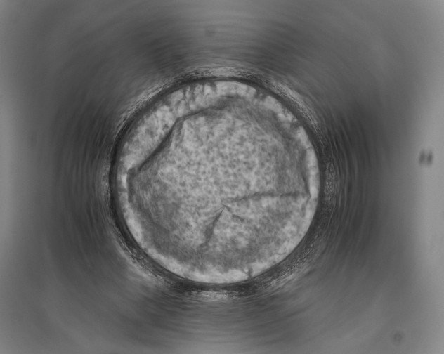 X0000096640394200803041131