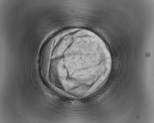 X0000096640395200803041131