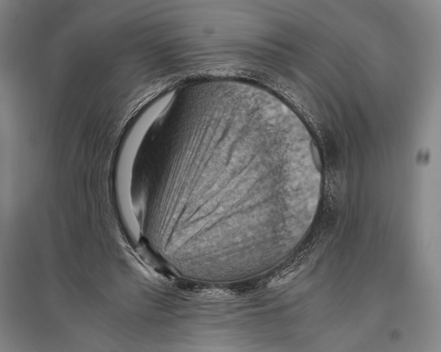 X0000096640397200803041131