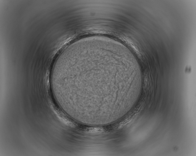 X0000096640398200803041131