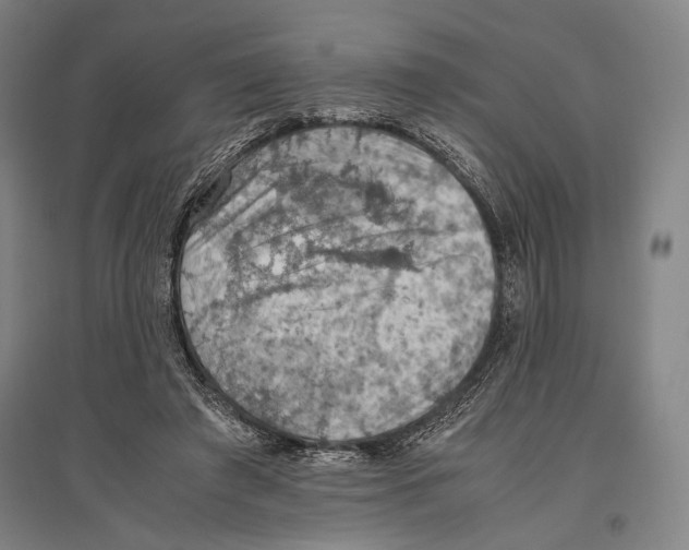 X0000096640401200803041131