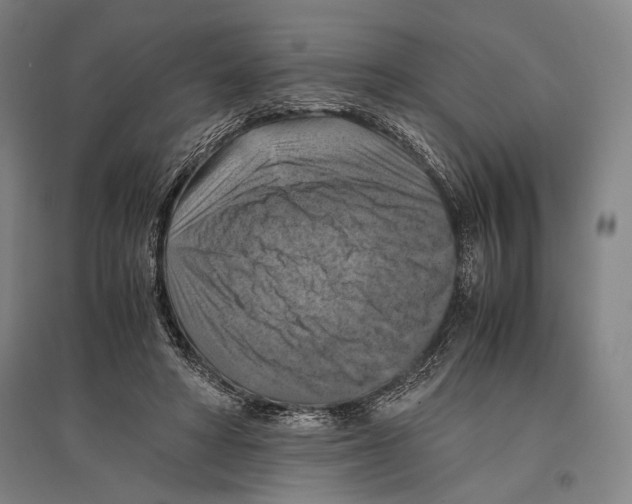 X0000096640402200803041131