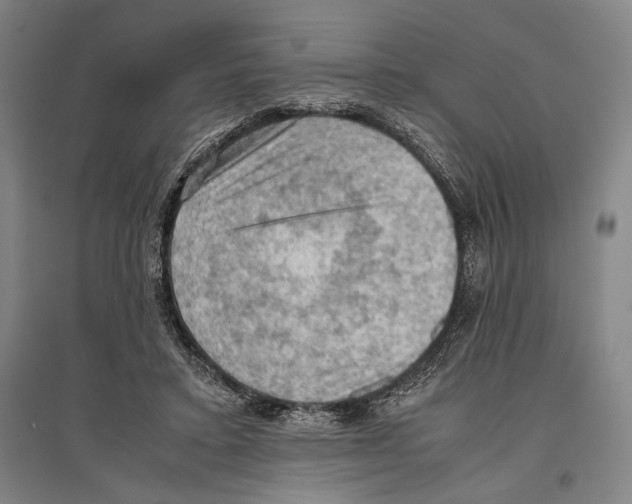 X0000096640403200803041131