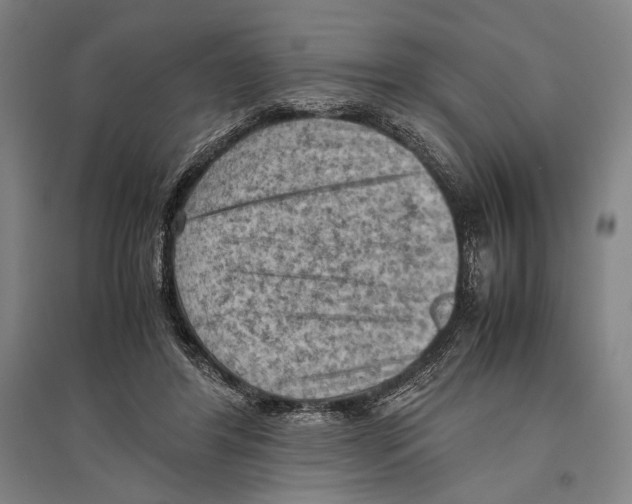 X0000096640404200803041131