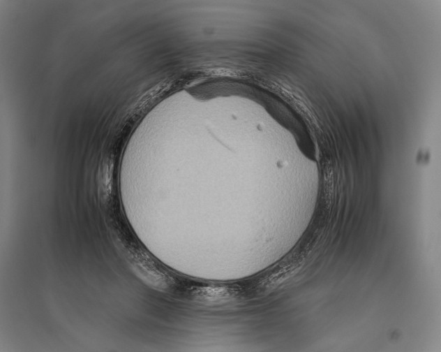 X0000096640406200803041131