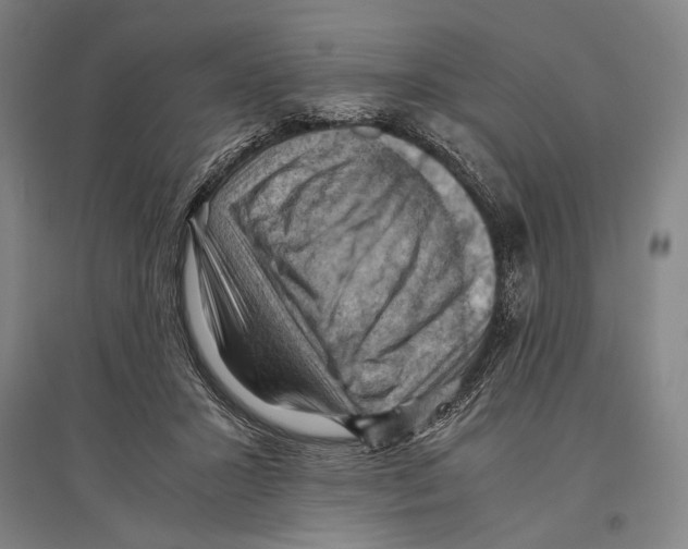 X0000096640407200803041131