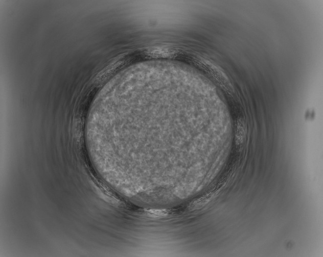 X0000096640409200803041131