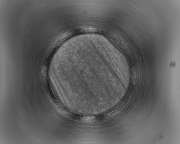 X0000096640410200803041131