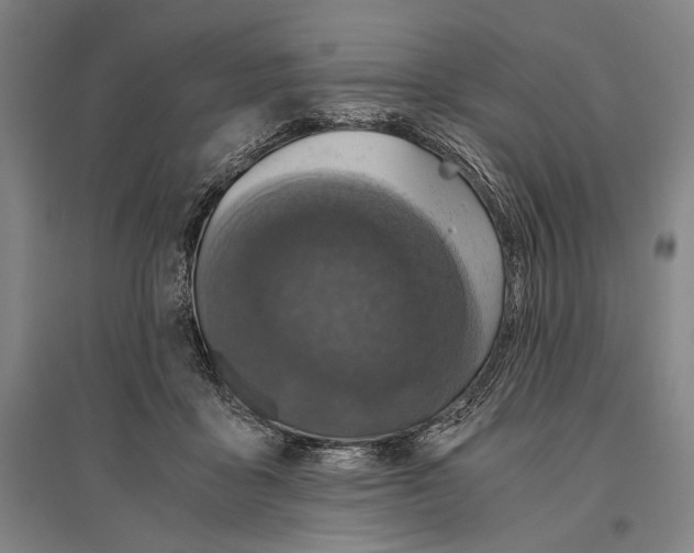 X0000096640411200803041131