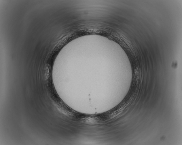 X0000096640412200803041131