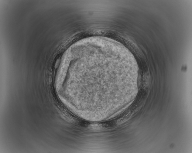 X0000096640413200803041131