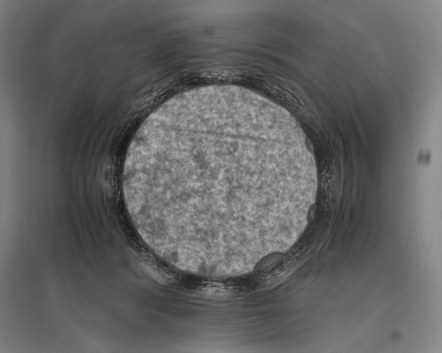 X0000096640416200803041131