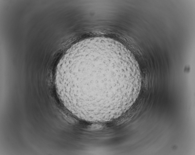 X0000096640418200803041131