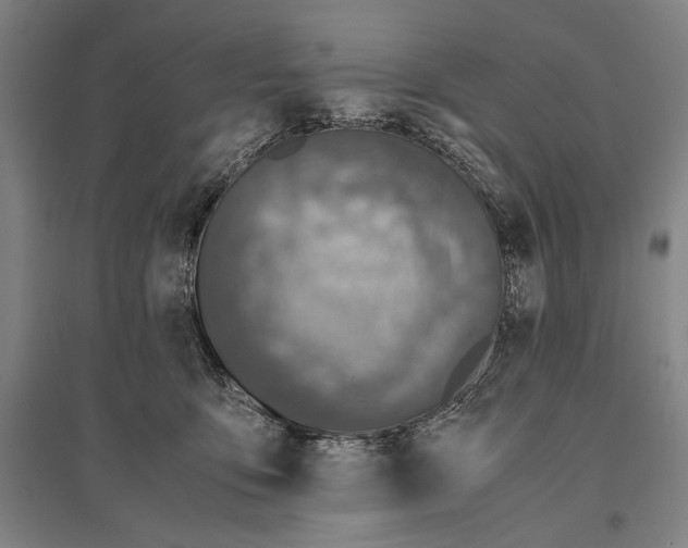 X0000096640419200803041131