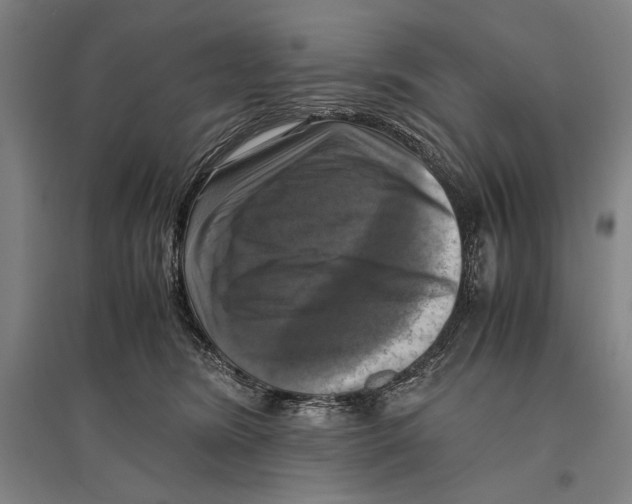 X0000096640420200803041131