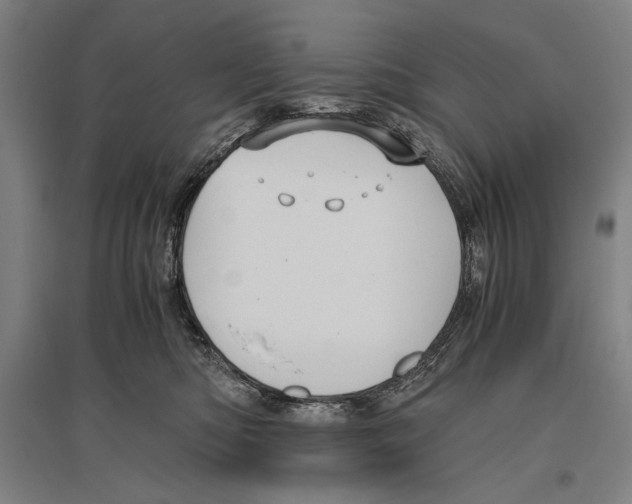 X0000096640422200803041131