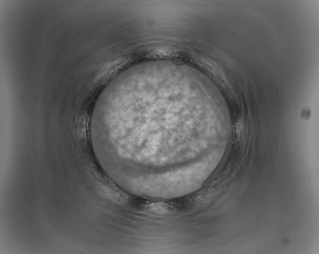 X0000096640423200803041131