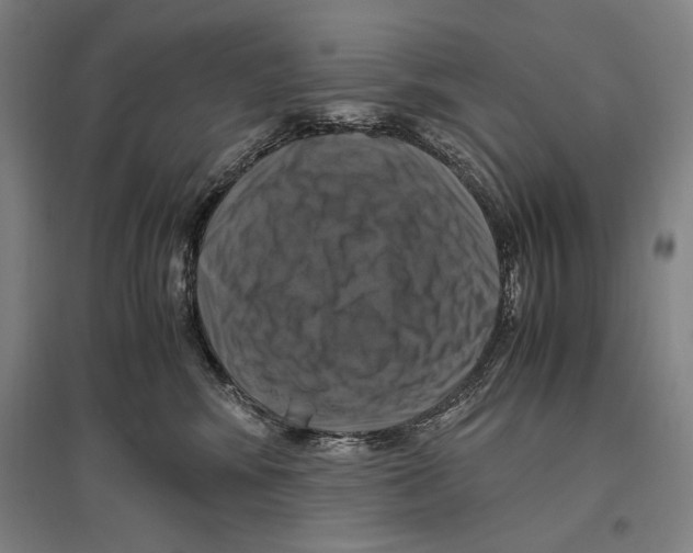 X0000096640424200803041131