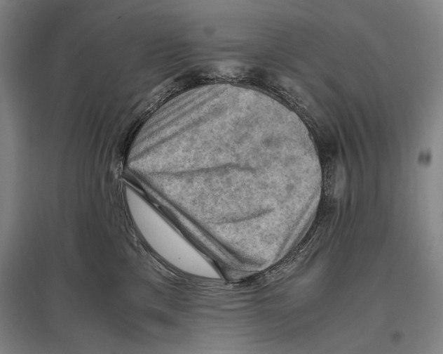 X0000096640425200803041131