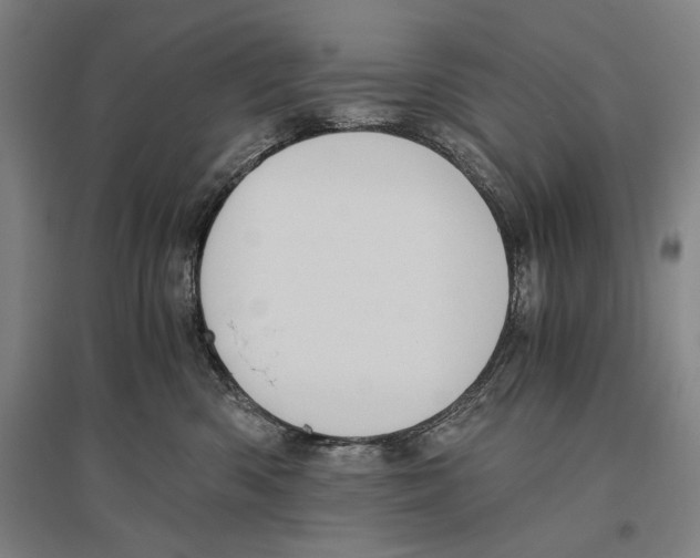 X0000096640426200803041131