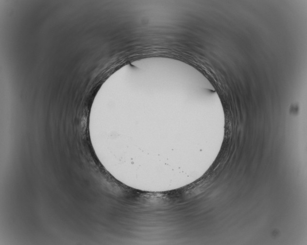 X0000096640427200803041131