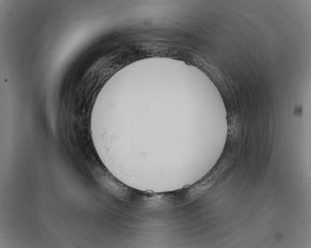 X0000096640430200803041131