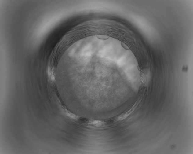 X0000096640431200803041131