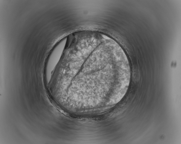 X0000096640434200803041130