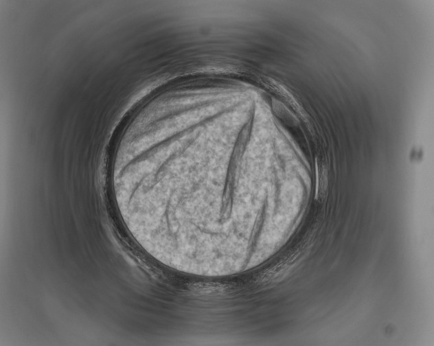 X0000096640435200803041130