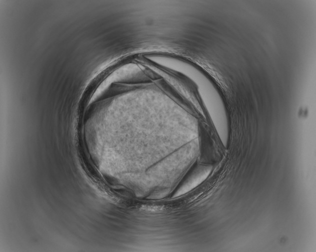 X0000096640440200803041130