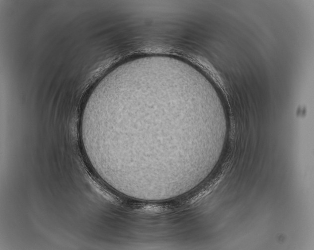 X0000096640441200803041130