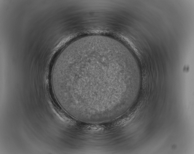 X0000096640443200803041130