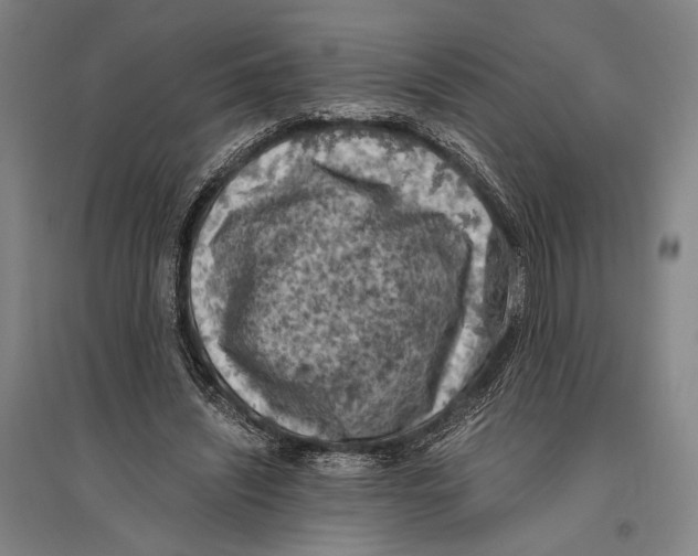 X0000096640444200803041130