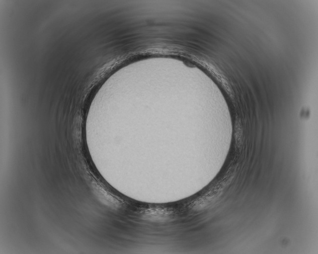 X0000096640445200803041130