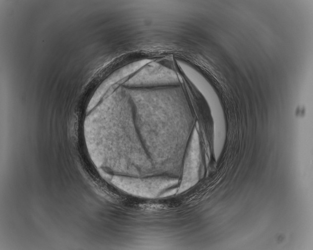 X0000096640448200803041130