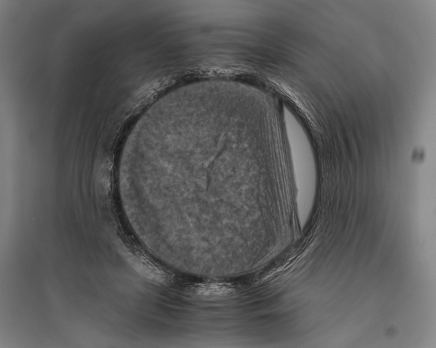 X0000096640451200803041130