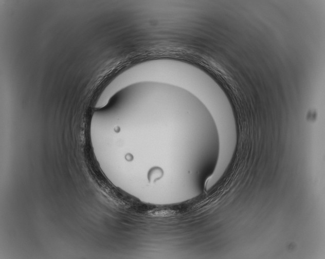 X0000096640452200803041130