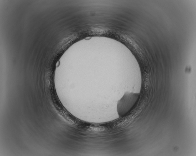 X0000096640455200803041130