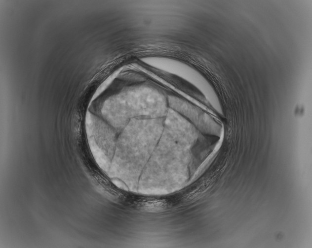 X0000096640456200803041130