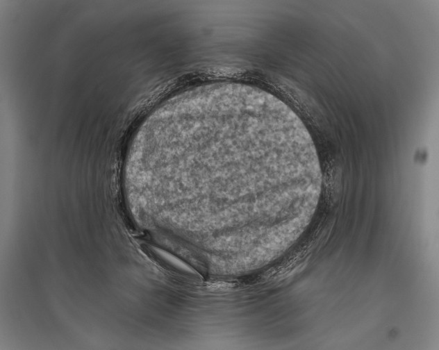 X0000096640462200803041130