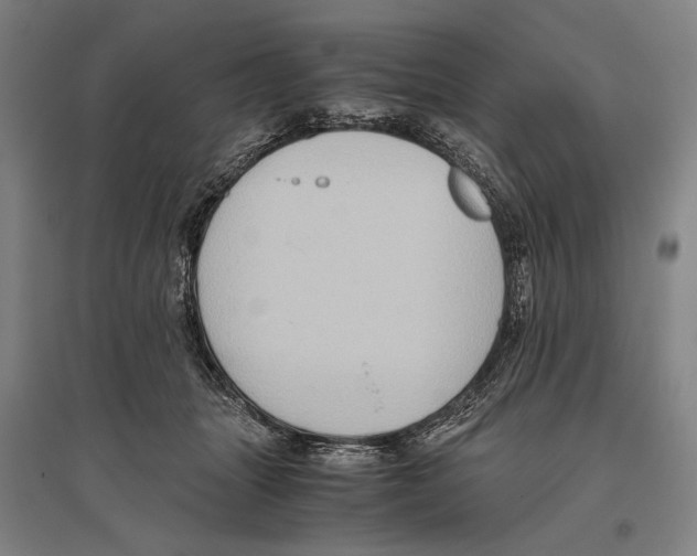 X0000096640463200803041130