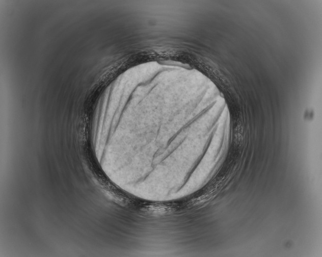 X0000096640464200803041130