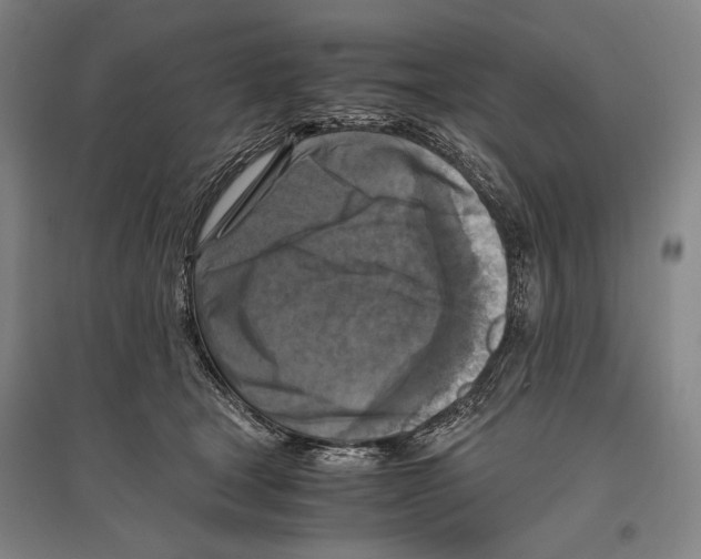 X0000096640465200803041130