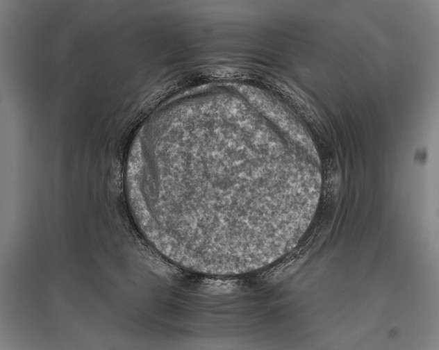 X0000096640469200803041130